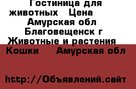 Гостиница для животных › Цена ­ 200 - Амурская обл., Благовещенск г. Животные и растения » Кошки   . Амурская обл.